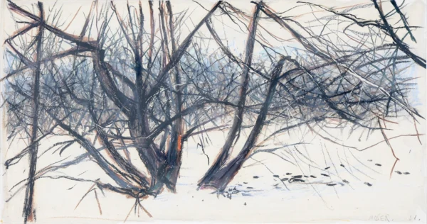 Wilfrid Moser — Unterholz, 1981