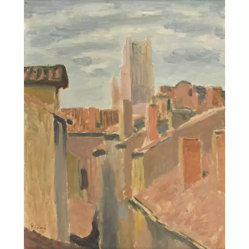"Les toits, Albi"