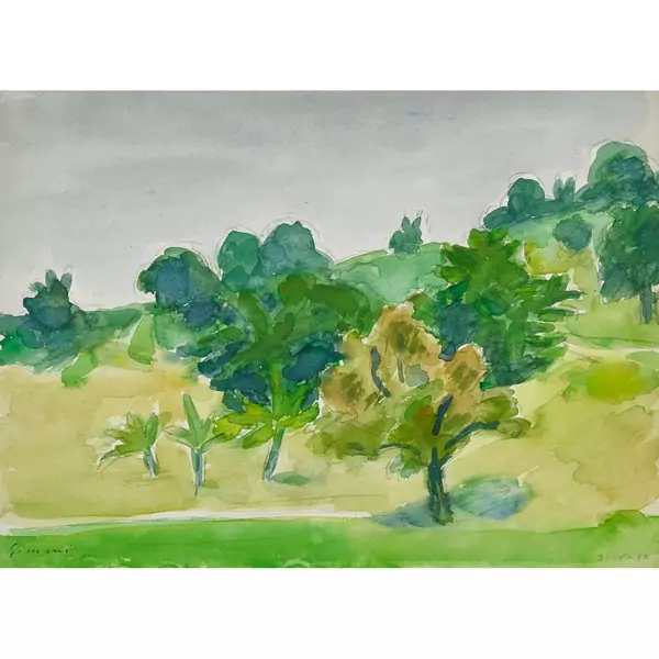 Sommerlandschaft