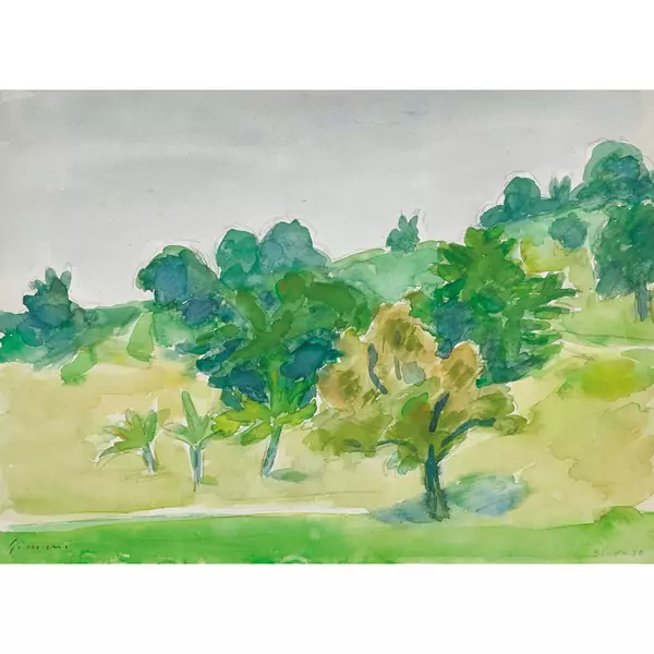Sommerlandschaft