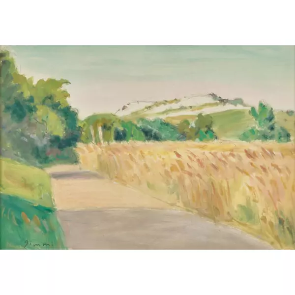 Sommerlicher Feldweg