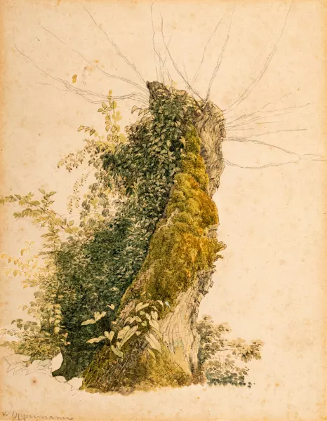 Baumstudie
