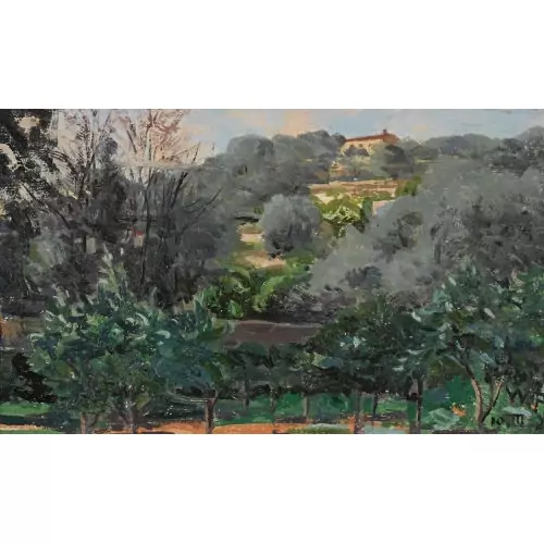 "Colline avec oliviers derrière la maison"