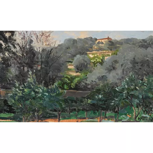 "Colline avec oliviers derrière la maison"
