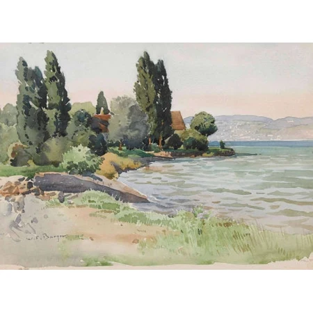 Uferlandschaft am Zürichsee