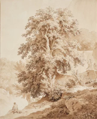 Wolfgang Adam Töpffer — Au-dessus de la Salenche dans le torrent