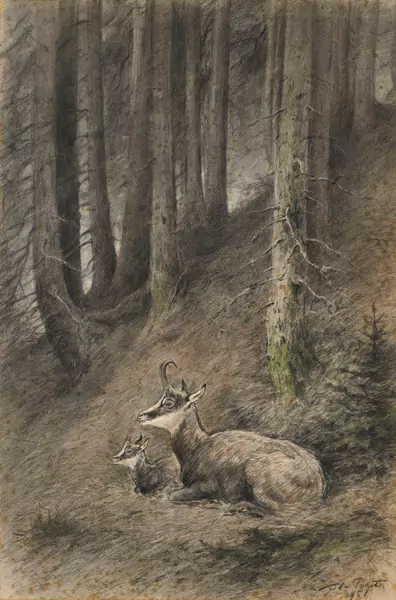 Xavier de Poret — Chèvre et son cabri dans une clairière, 1951, pierre noire et aquarelle sur papier, signée et datée, 55x36,5 cm (à vue) Provenance: acquis directement auprès de l'artiste, puis resté dans la famille jusqu'à ce jour