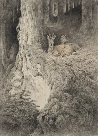 Broccard et biche