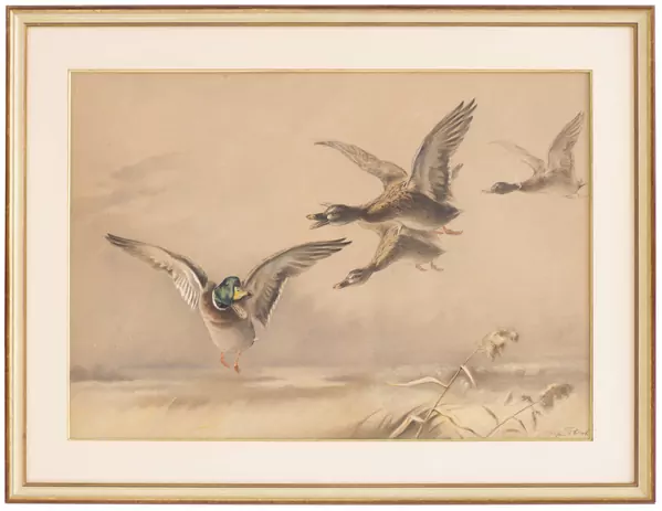 Xavier de PORET (1894 - 1975), "Quatre canards en vol", dessin — DognyAuction
