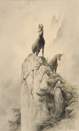 Au pays du Chamois
