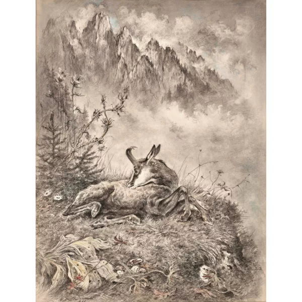 Xavier de Poret — Chamois reposant.