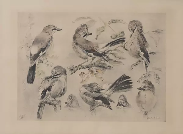 Xavier DE PORET (1894-1975), 'Les Geais', lithographie — DognyAuction