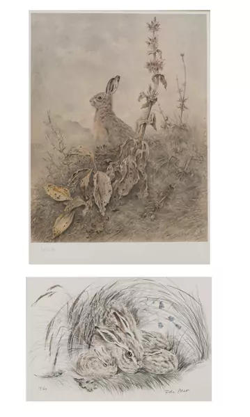 Xavier DE PORET (1894-1975), 'Lièvres dans l'herbe', lithographie — DognyAuction