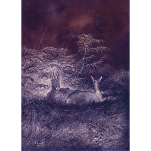 Xavier de Poret — Zwei liegende Rehe im Gras.