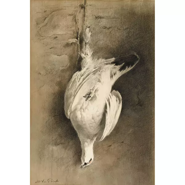 Nature morte au lagopède