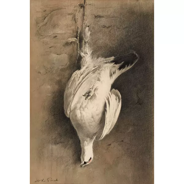 Nature morte au lagopède