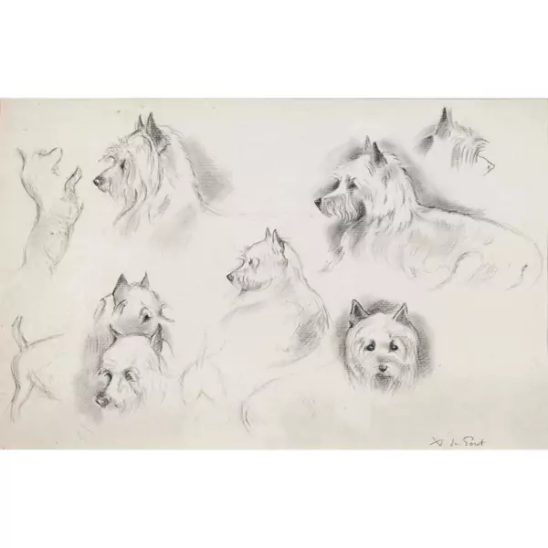 Hundestudien