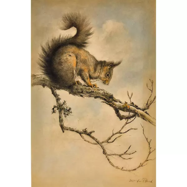 Écureuil sur une branche