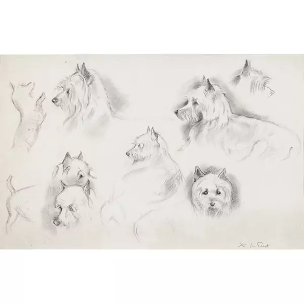 Hundestudien