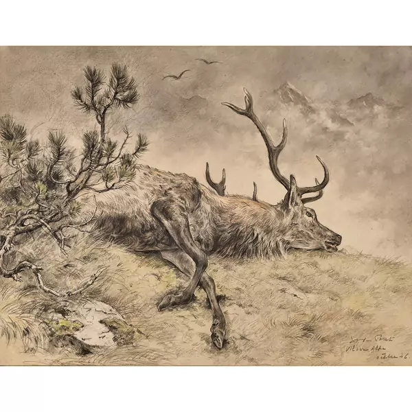 Erlegter Hirsch