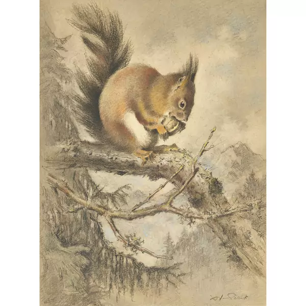 L'écureuil