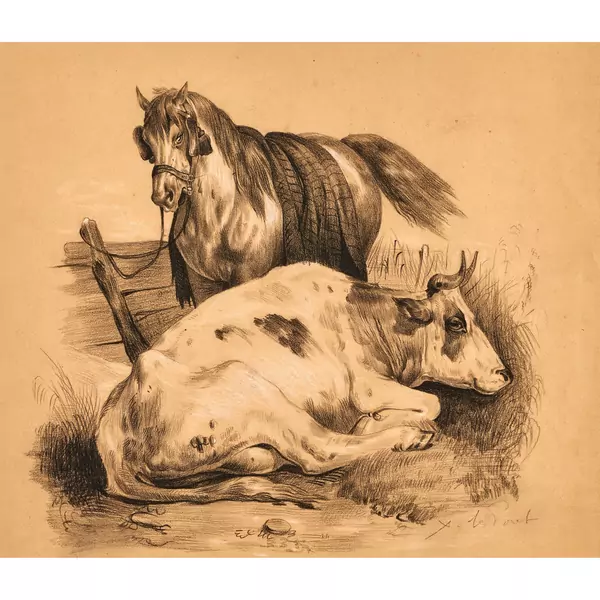 Vache et cheval