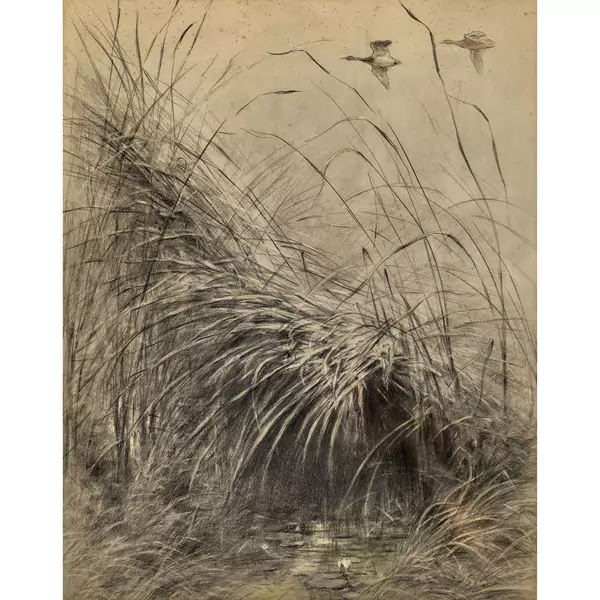 "Vol de canards"