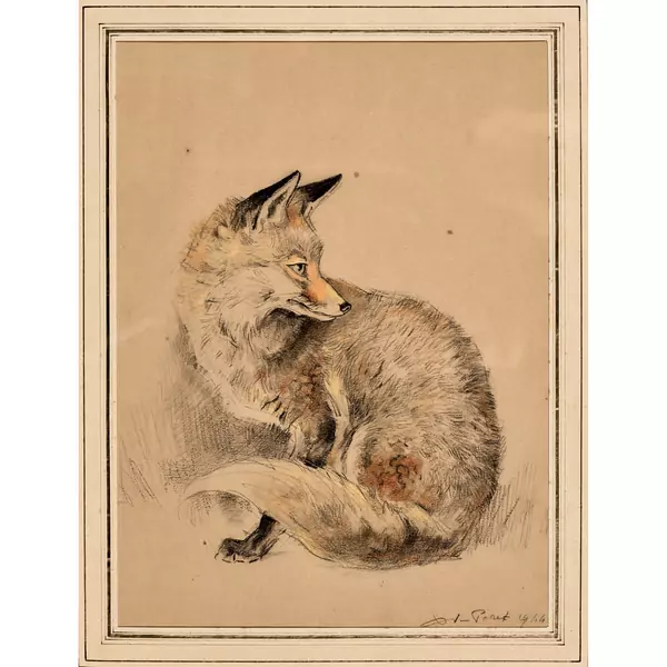 Le renard