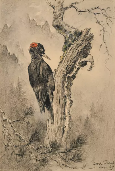 Xavier de Poret — "Pic noir", 1969, pierre noire et aquarelle sur papier, signée et datée, contresignée, contredatée, titrée, située "Gastlosen" et dédicacée au verso, 28,5x19,5 cm (à vue) Provenance: acquis directement auprès de l'artiste, puis resté dans la famille jusqu'à ce jour