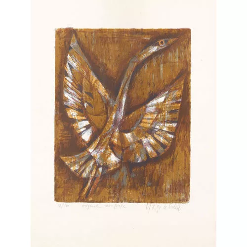 Yargo De Lucca — Vogel.