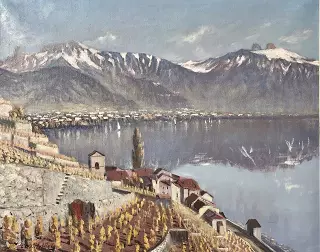 Vue sur le Lac Léman et les Rochers de Naye